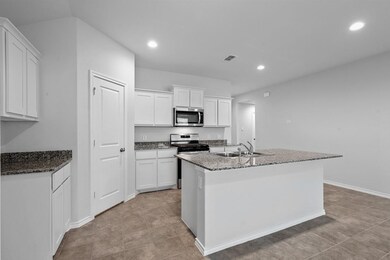 308 Sculptors Crossing, Springtown, TX 76082 - photo 3