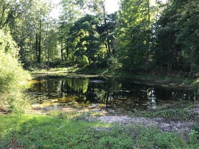 Hickory pond