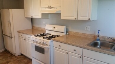 222 E Wilson St, Batavia, IL 60510 - photo 4