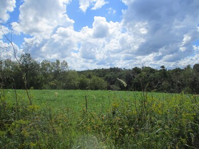 5060 Mason Ln, Mayslick, KY 41055 - photo 5