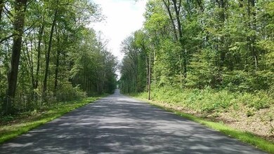 001 Mihaliak Rd, Willington, CT 06279 - photo 3