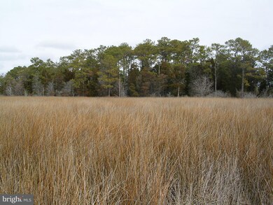 1748 E Tedious Creek Rd, Toddville, MD 21672 - photo 7