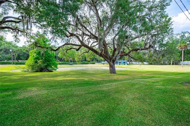 6207 Crestview Ln, Zephyrhills, FL 33542 - photo 7