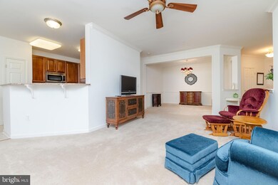 1011 Samantha Ln unit 301, Odenton, MD 21113 - photo 3