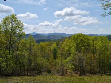 374 Loverly Way, Franklin, NC 28734 - photo 4