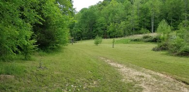 2079 Swindle Creek Rd, Linden, TN 37096 - photo 6