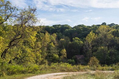 2145 Wildcat Hollow Rd, Nebo, IL 62355 - photo 7