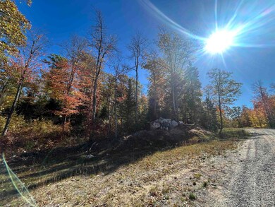 Parcel 1A Bridgeview Ln, Negaunee, MI 49866 - photo 7