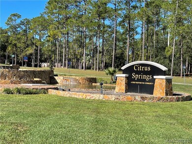 8775 N Limbo Cir, Citrus Springs, FL 34434 - photo 3