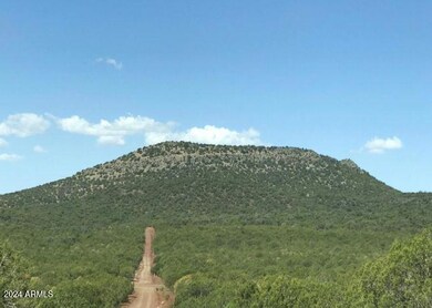 Wide Open Spaces