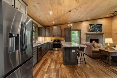 171 Cohutta Overlook Trail, Blue Ridge, GA 30513 - photo 5