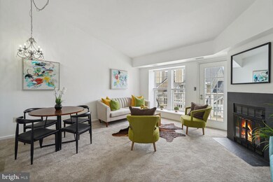 4544 28th Rd S unit 155, Arlington, VA 22206 - photo 3