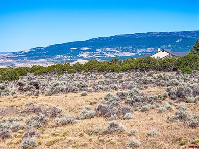 TBD Cedar Mesa, Cedaredge, CO 81413 - photo 4