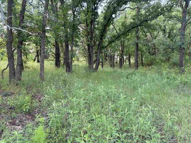 Tbd Tract 1 Sunset Ln, Jacksboro, TX 76458 - photo 6