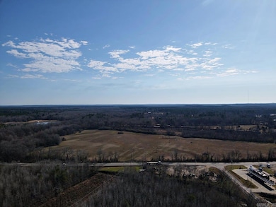 TBD Hwy 67, Curtis, AR 71743 - photo 3