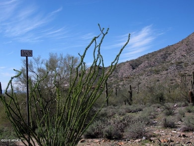 Lot 1608 - Center of lot