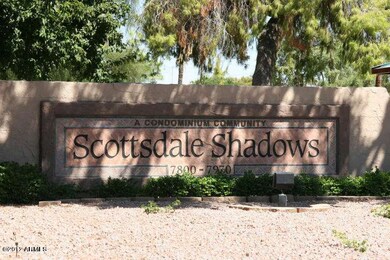 Scottsdale Shadows