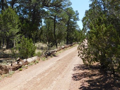 1919 Elk Rd2 (1)