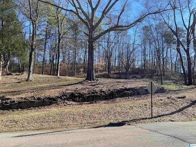 0 Robinson St unit 1, Springville, AL 35146 - photo 2