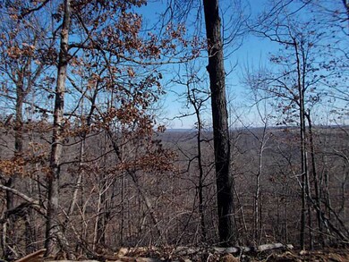 20 Acres Low Gap Rd, West Fork, AR 72774 - photo 3