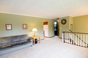1001 Acorn-18