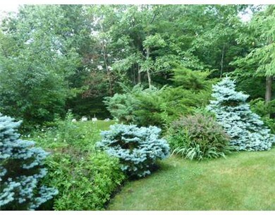 Yard/Garden.