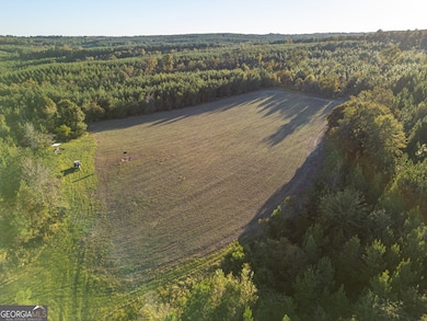 0 Fall Line High Fence unit 10648976, Ellaville, GA 31806 - photo 4