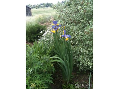 Flower garden 