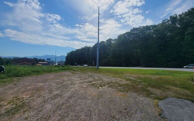 Additional View