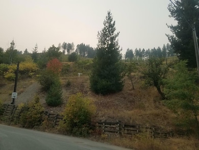 0 Upper 3rd St unit 25-3376, Kellogg, ID 83837 - photo 3