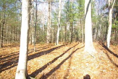 30 River Rd, Taunton, MA 02780 - photo 5