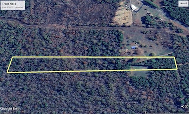 Tract No 1 County Road 3150, Deberry, TX 75639 - photo 5