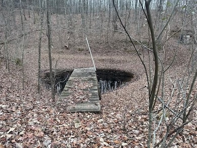 120.62 Browns Hollow Rd, Tracy City, TN 37387 - photo 3