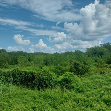 1085 Deen Point Rd, Benton, LA 71006 - photo 7