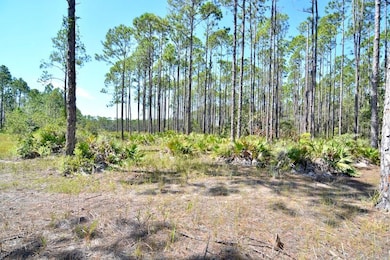 00 Key Deer unit LotWP001, Perry, FL 32348 - photo 6