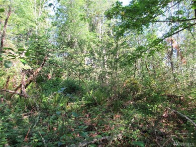 0 238th Ave E, Orting, WA 98360 - photo 2