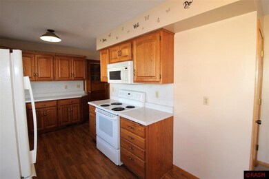 419 10th St N, New Ulm, MN 56073 - photo 3