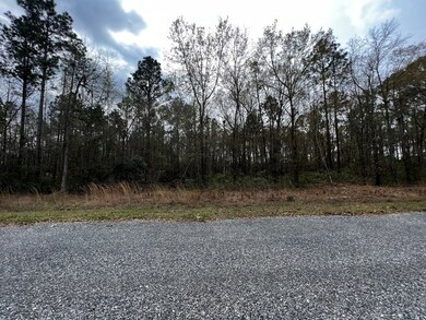 0 Crooked Rd unit 135721, Fitzgerald, GA 31750 - photo 2