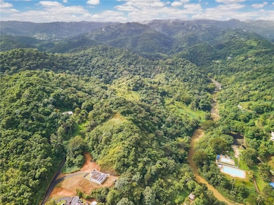 0 Bo Mulas Carr 174 Km Hm 19 6 Int unit SOLAR 1 MFRPR9111511, Aguas Buenas, PR 00703 - photo 6