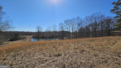 LOT 1 Snote Jones Rd, Dallas, GA 30132 - photo 3