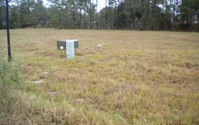 0 NW Caden Glen, Lake City, FL 32055 - photo 4