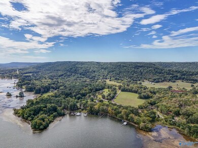 215 Wilson Rd, Scottsboro, AL 35769 - photo 2