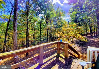 189 Calypso Trail, Great Cacapon, WV 25422 - photo 6