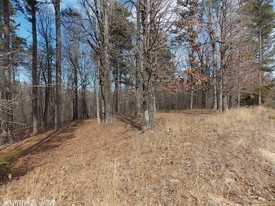 000 Greene 707 Rd, Paragould, AR 72450 - photo 6