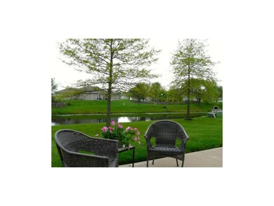 View from the back patio.  Hello nature!