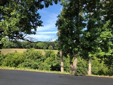 290 Newbury Rd, Reeds Spring, MO 65737 - photo 7