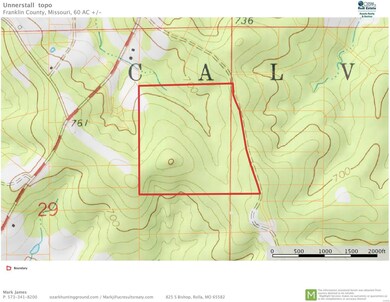 60 Bridle Trail Dr, Calvey Township, MO 63072 - photo 5