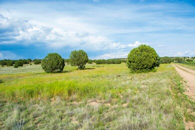 12X2 E Cougar Ridge Rd, Paulden, AZ 86334 - photo 5