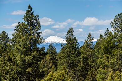 Mt Bachelor View