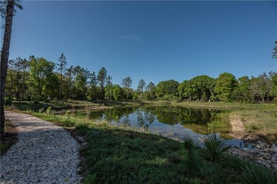 17727 Royal Eagle Ln, Lutz, FL 33549 - photo 5